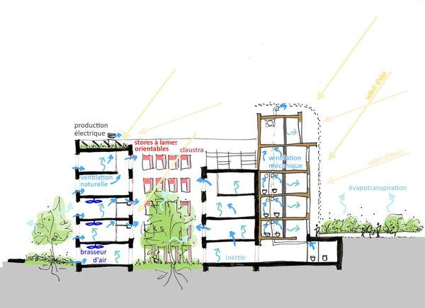 La ventilation naturelle dans la médiathèque et son puits dépressionnaire © TRIBU  G. Samé